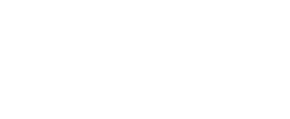 LOGO-tms-pro